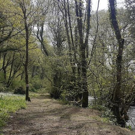 Retraite Rustique En Bordure De Foret A La Campagne Hotel Belle-Isle-en-Terre Luaran gambar